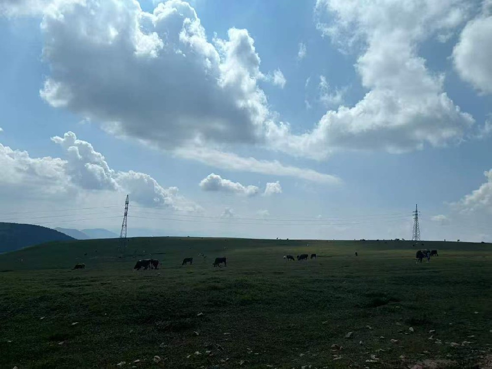 風(fēng)電新顏，晨虹醇酸調(diào)和漆打造綠色能源之美