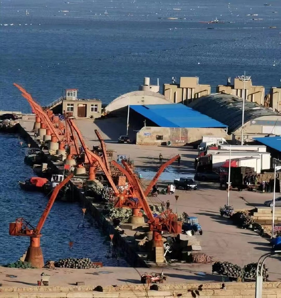 構建市場安全防護網，護航經銷商共贏之路